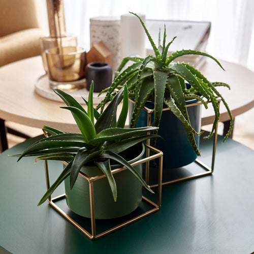 Magas plant pot Grino takaróelem