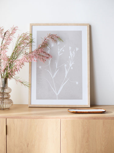 Fiore III grafika