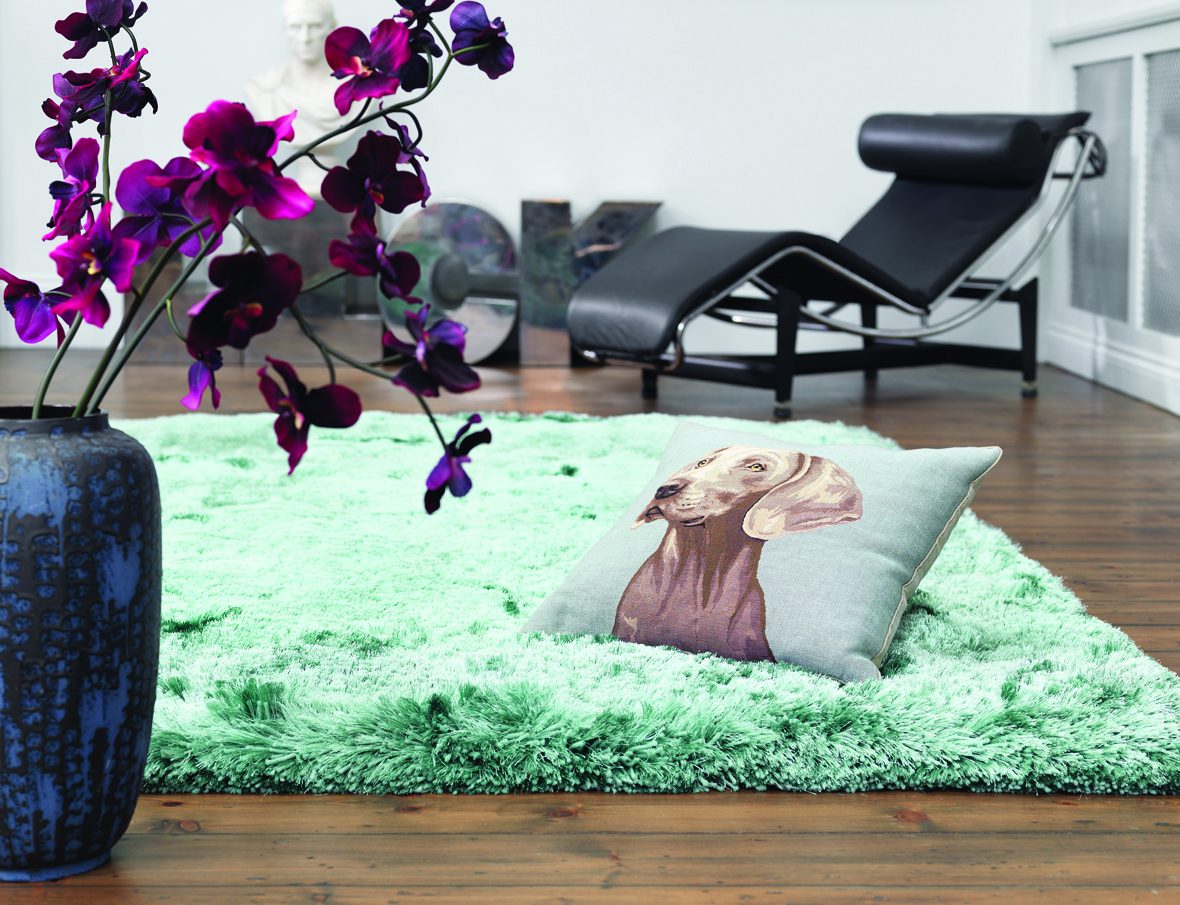 Plush szőnyeg / Asiatic