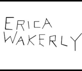 tapétakönyv / Erica Wakerly