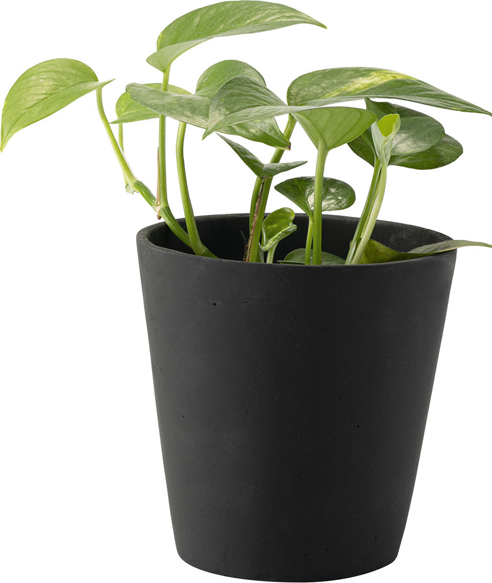 Big plant pot Duno takaróelem