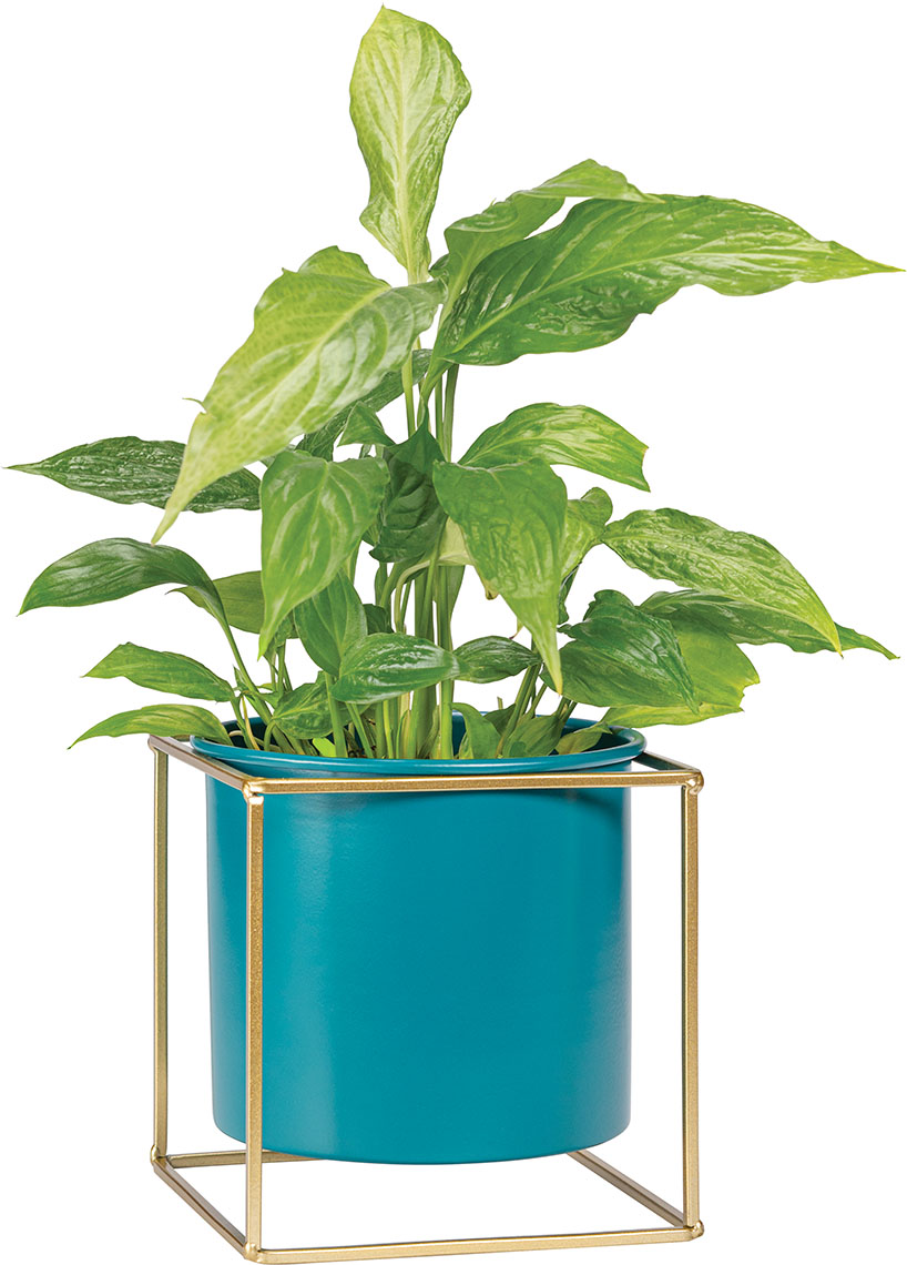 Magas plant pot Grino takaróelem