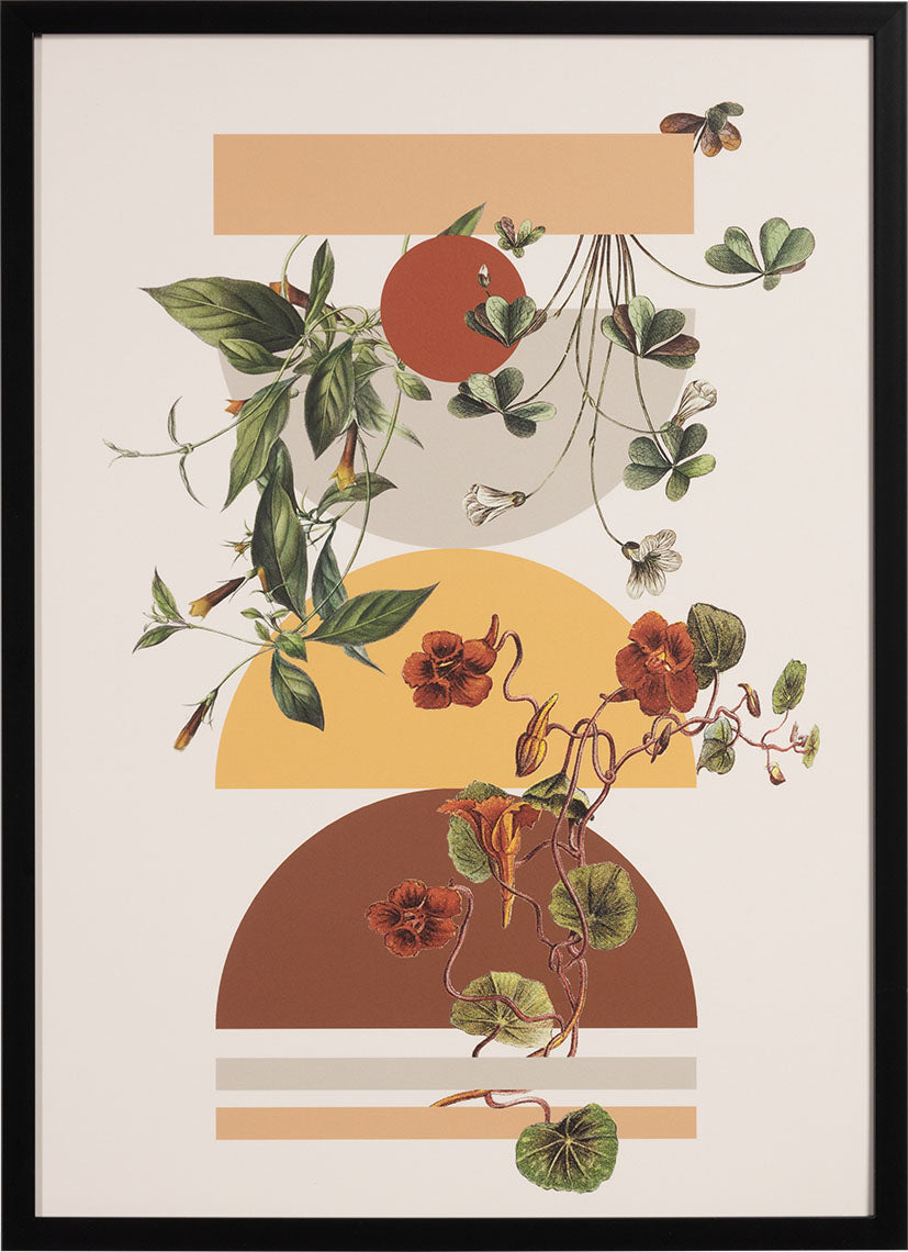 Quello I grafika