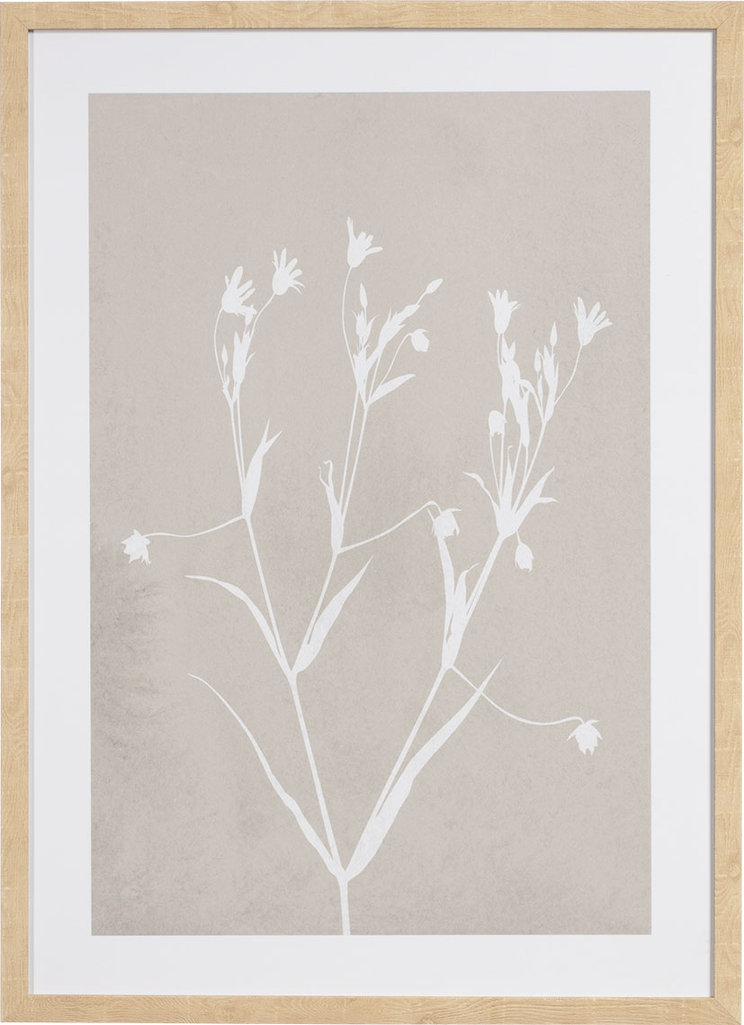 Fiore III grafika