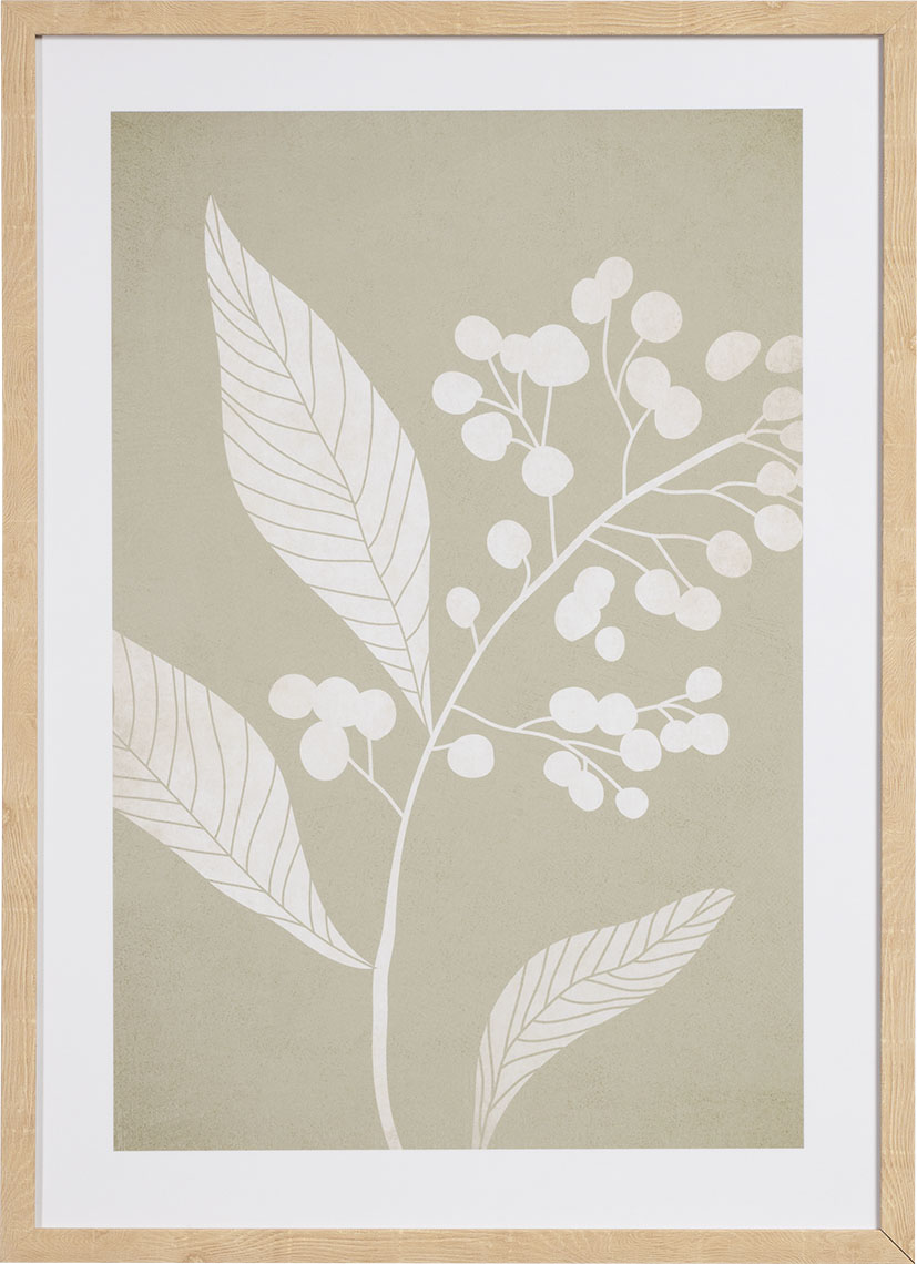 Graphic Fiore I grafika