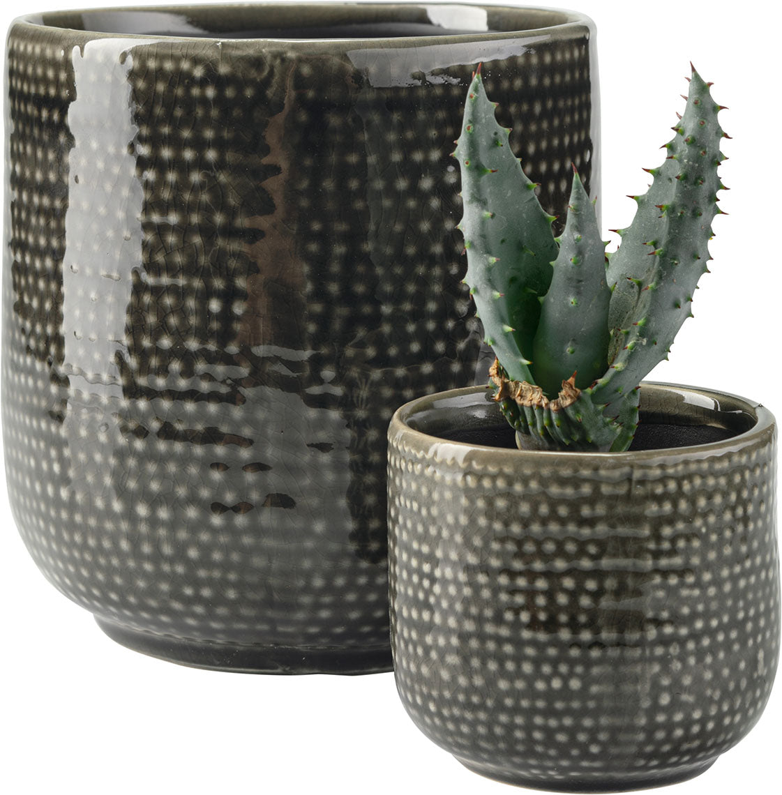 Kicsi plant pot Ligo takaróelem