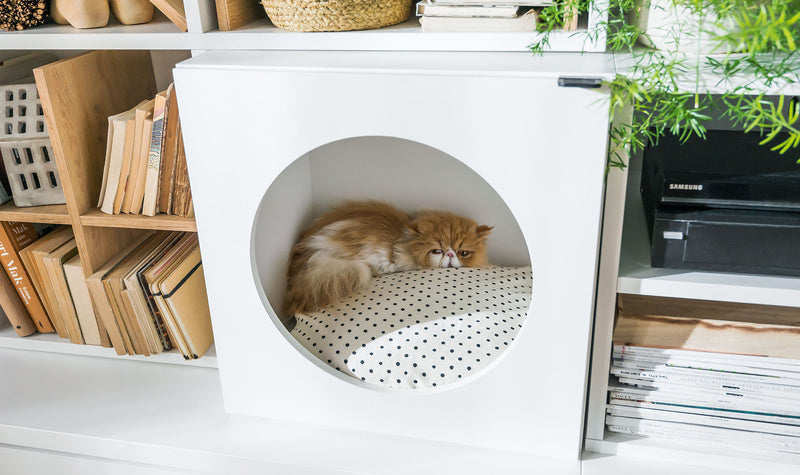 Pets Young Users szekrény