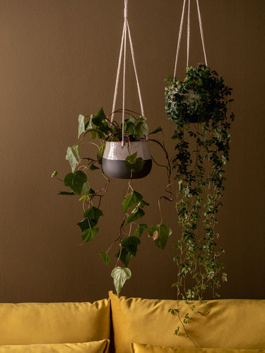 Big plant pot Pendo kaspó