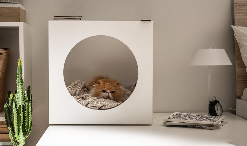 Pets Young Users szekrény