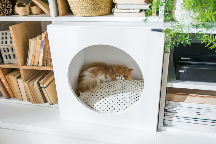 Pet house Young Users Next szekrény
