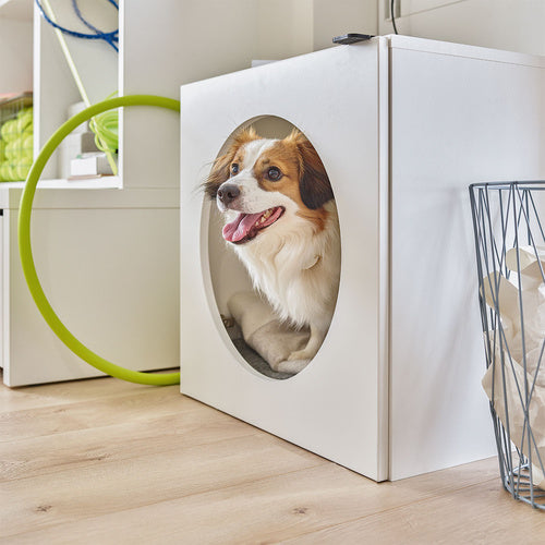 Pets Young Users szekrény