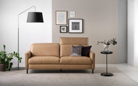 Columbia Kenia Camel