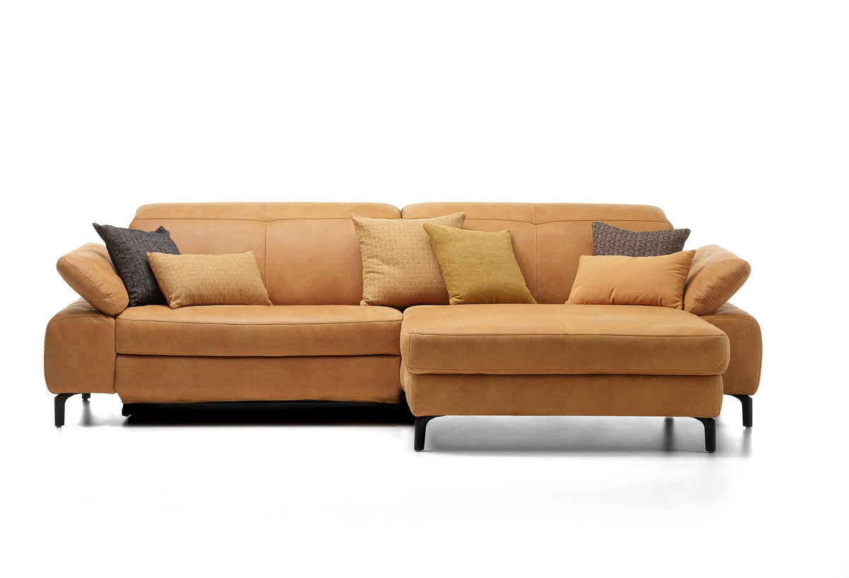 Davis Togo Cognac