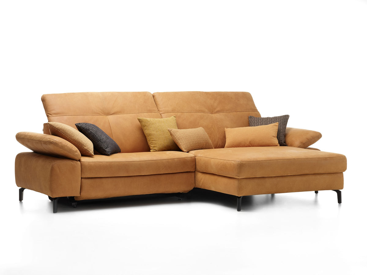 Davis Togo Cognac