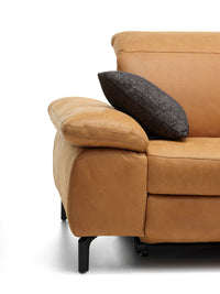 Davis Togo Cognac