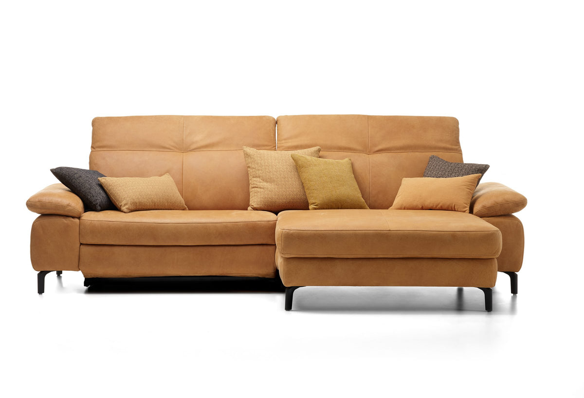 Davis Togo Cognac