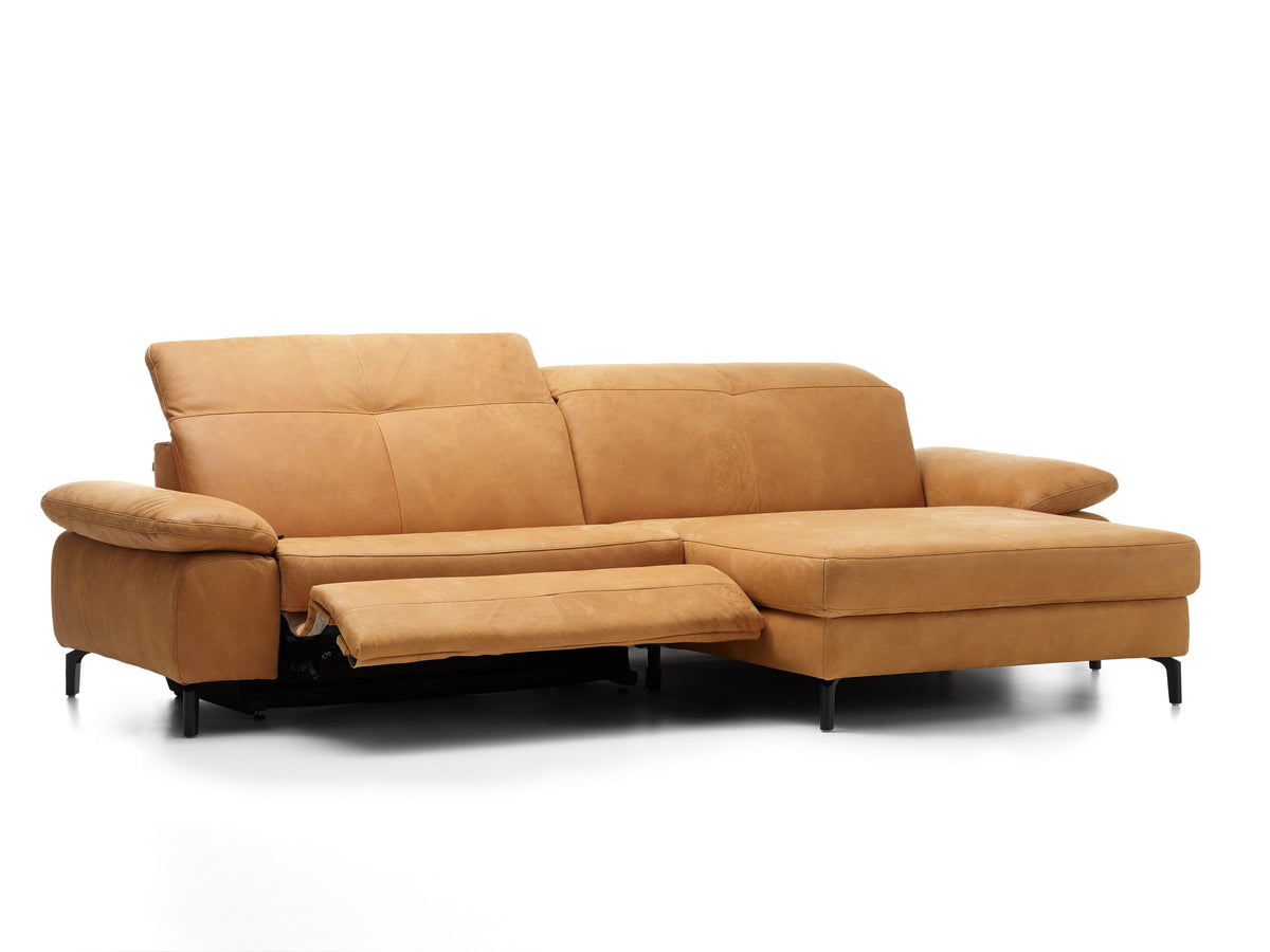 Davis Togo Cognac