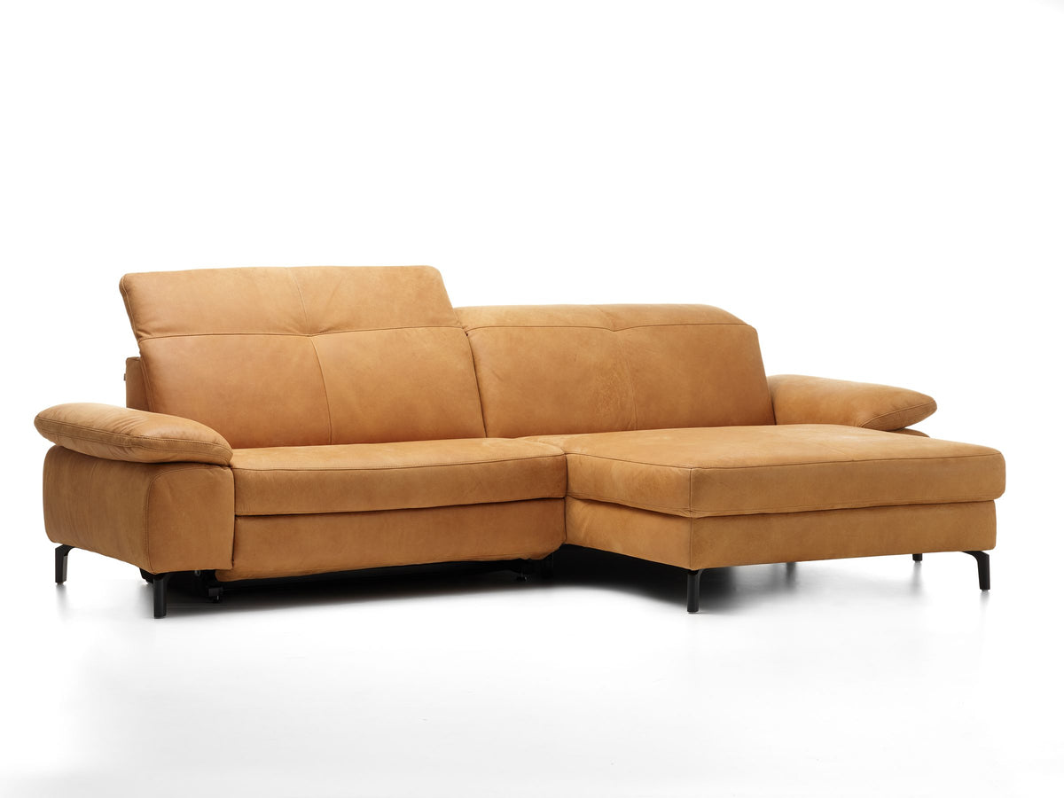 Davis Togo Cognac