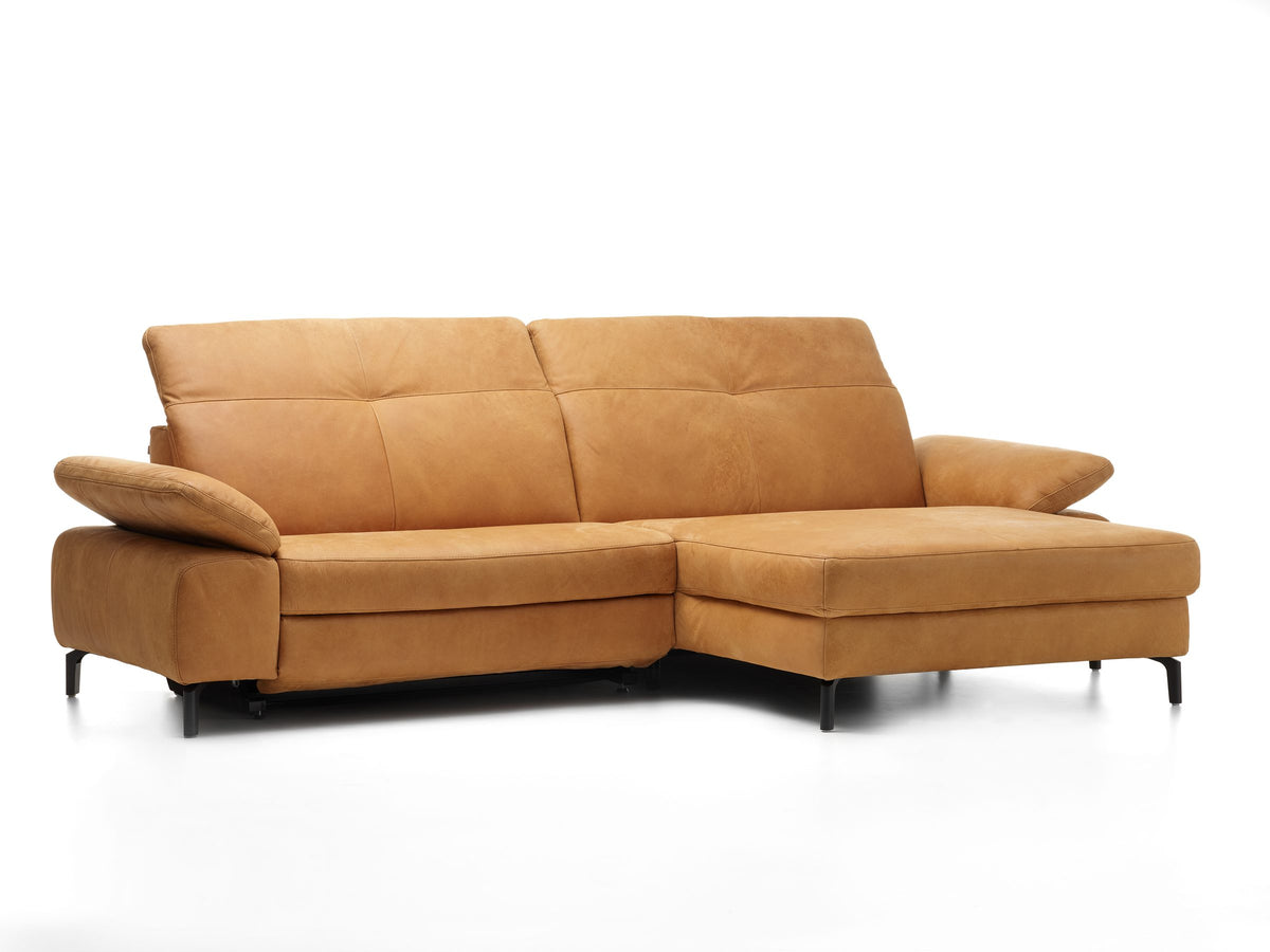 Davis Togo Cognac