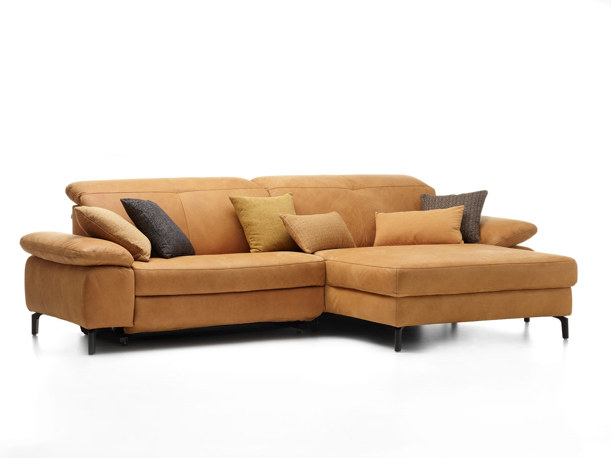 Davis Togo Cognac