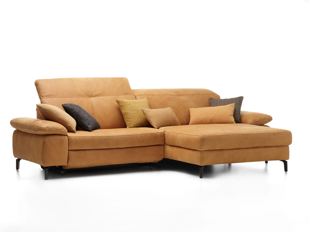 Davis Togo Cognac