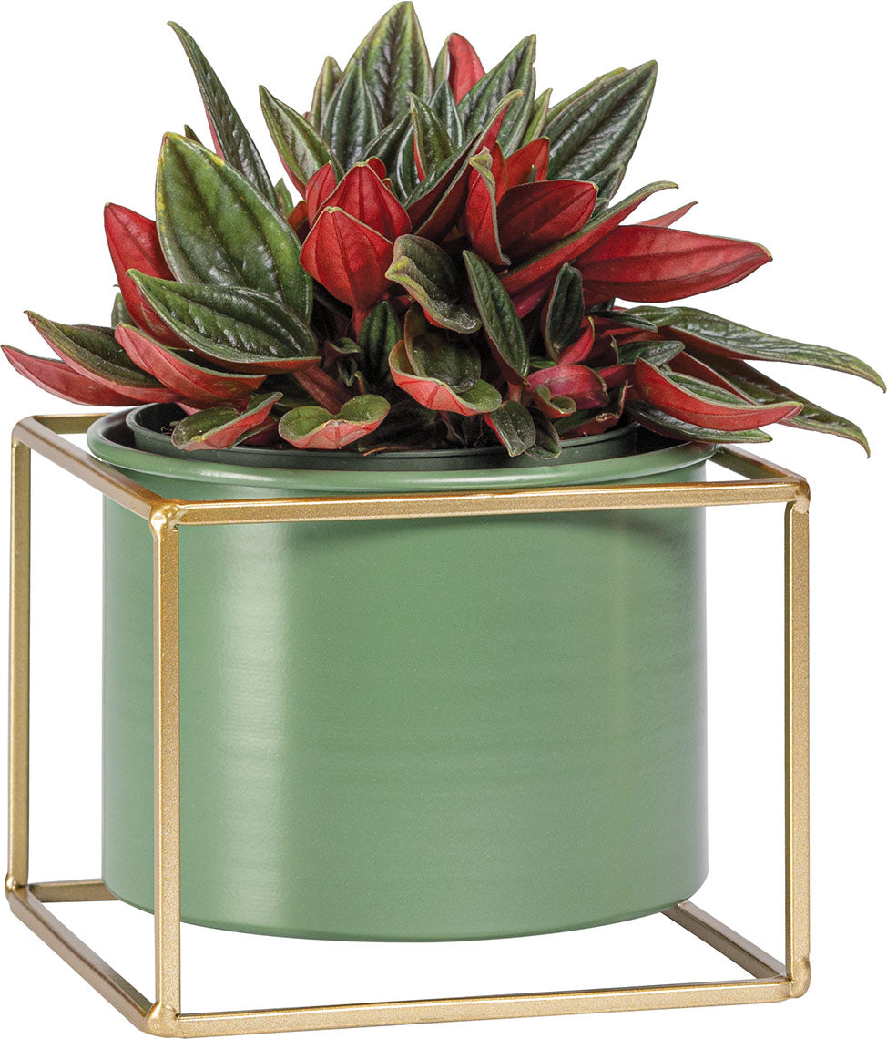 Alacsony plant pot Grino takaróelem