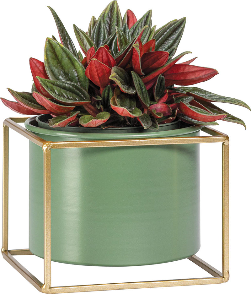 Alacsony plant pot Grino takaróelem