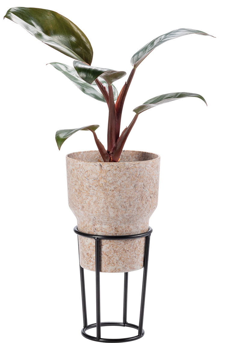 Stone III flowerpot cover takaróelem