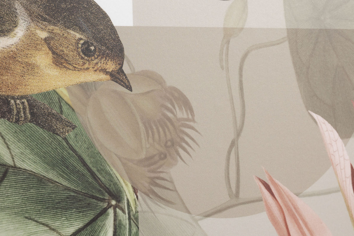 Graphic Verde III grafika