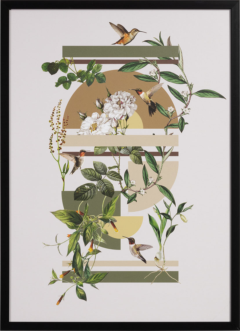 Quello II grafika
