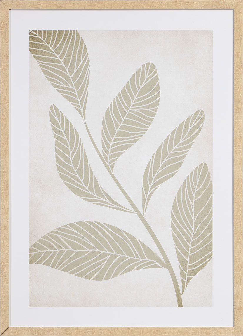 Fiore II grafika