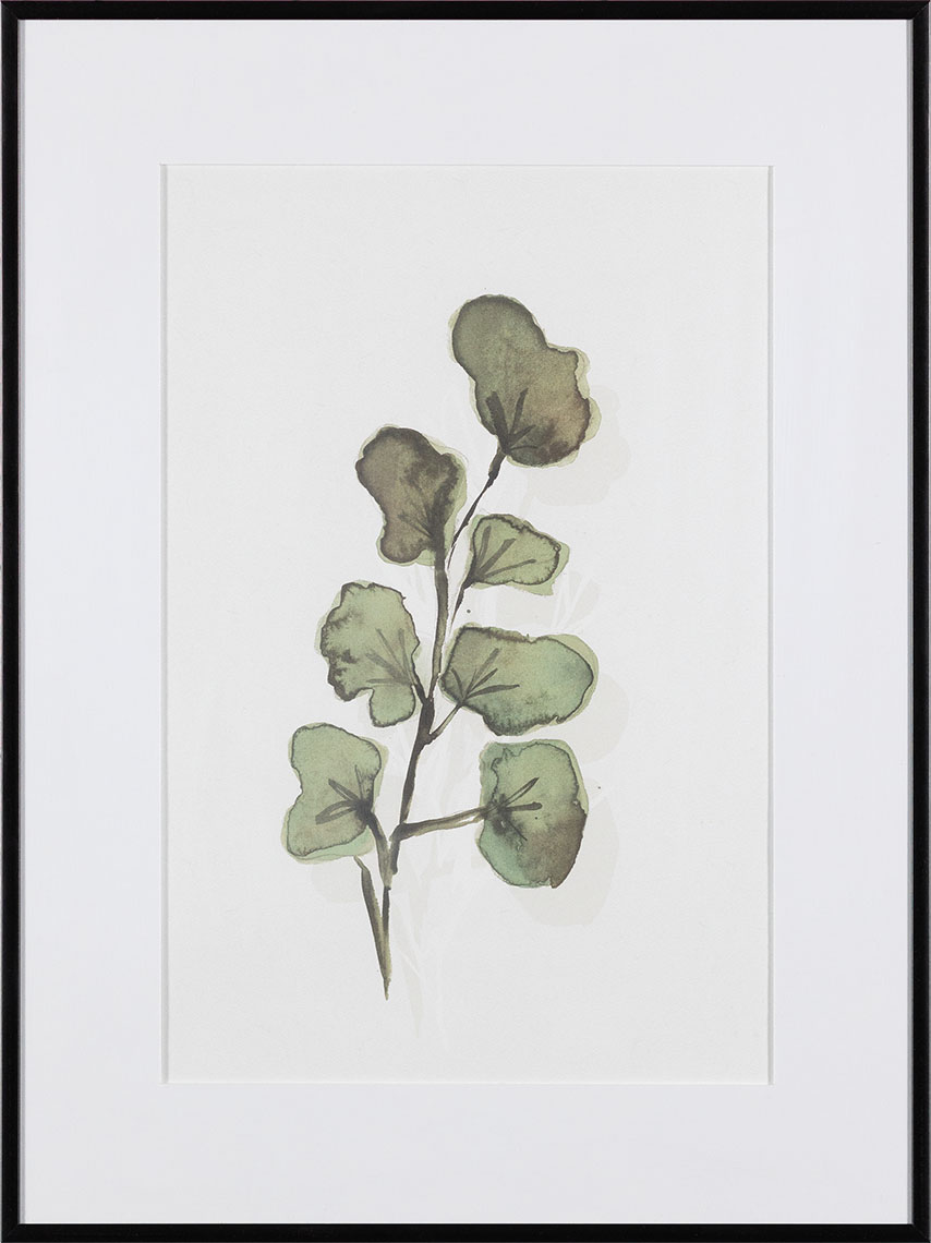 Seaplant II grafika