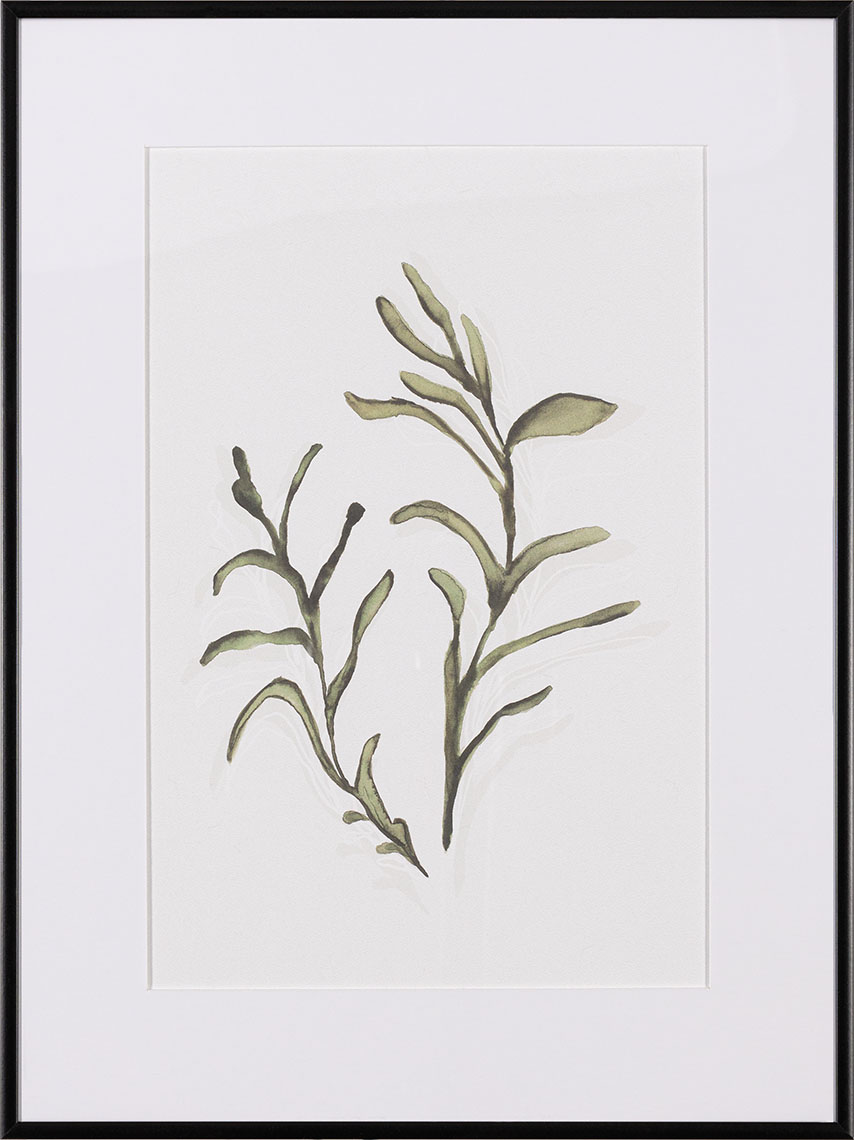Seaplant I grafika