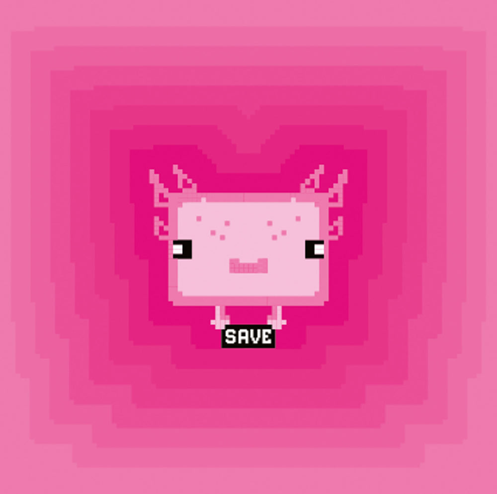 Metal front overlay Pixel Axolotl Young Users Next kiegészítő