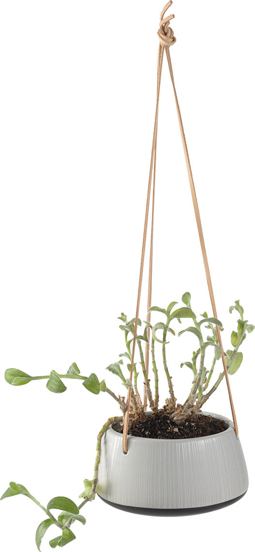 Kicsi plant pot Gora takaróelem