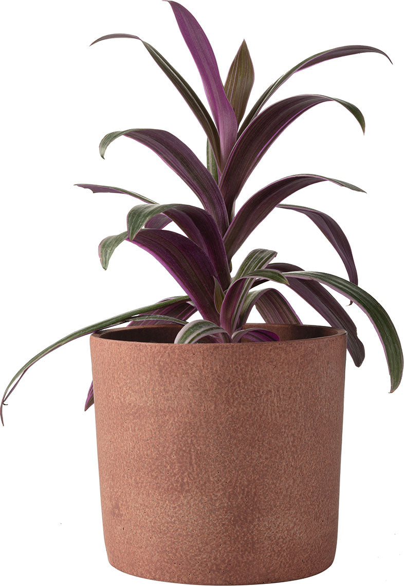 Medium plant pot Redo takaróelem