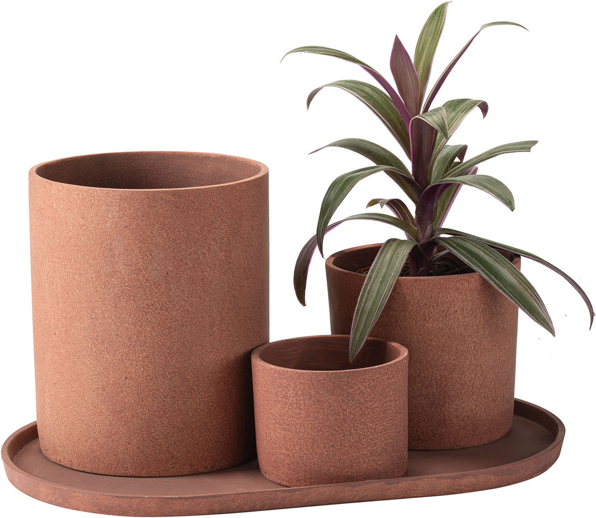 Kicsi plant pot Redo takaróelem