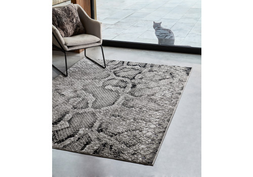 Asiatic Quantum szőnyeg