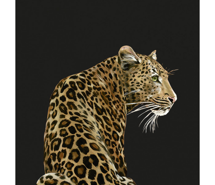 AMA Dolce & Gabbana Casa tapétakönyv