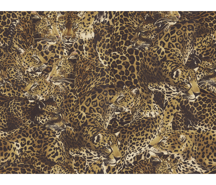 AMA Dolce & Gabbana Casa tapétakönyv