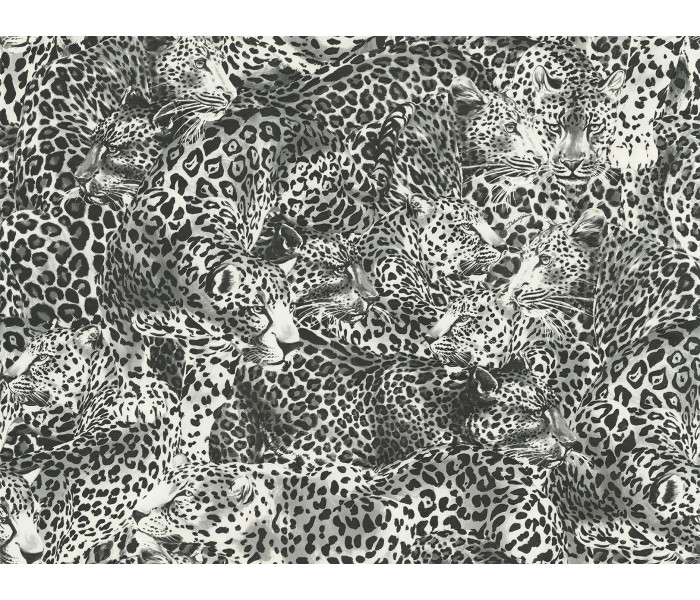 AMA Dolce & Gabbana Casa tapétakönyv