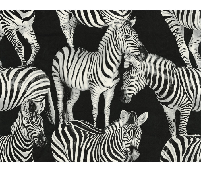 AMA Dolce & Gabbana Casa tapétakönyv