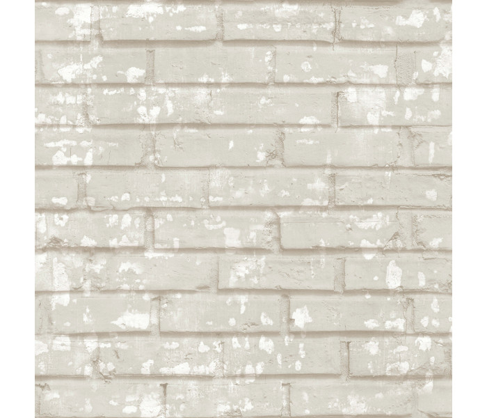 AMA Cristiana Masi Friends & Coffee tapétakönyv