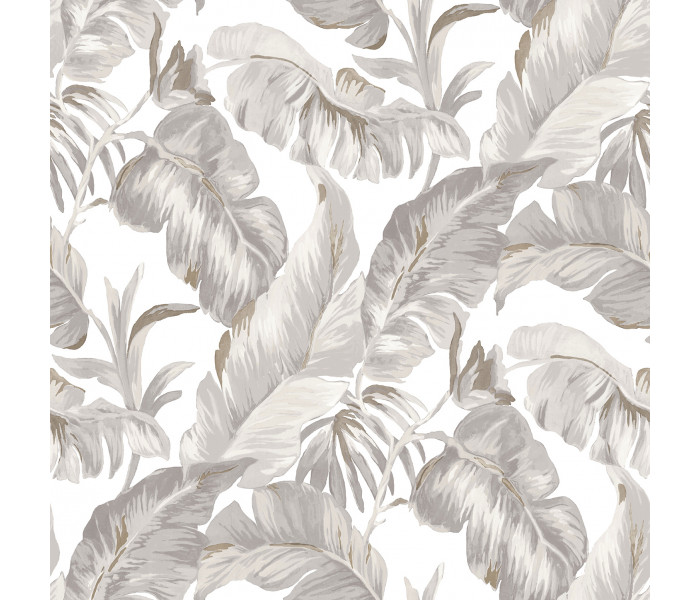 AMA Cristiana Masi Amazzonia tapétakönyv