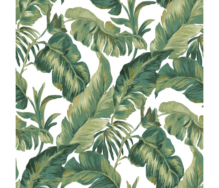 AMA Cristiana Masi Amazzonia tapétakönyv