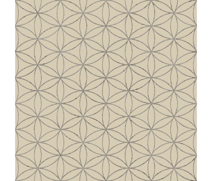 AMA Cristiana Masi Amazzonia tapétakönyv