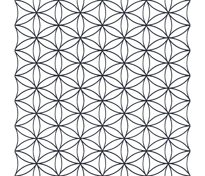 AMA Cristiana Masi Amazzonia tapétakönyv