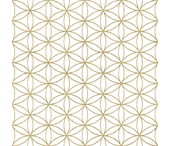 AMA Cristiana Masi Amazzonia tapétakönyv