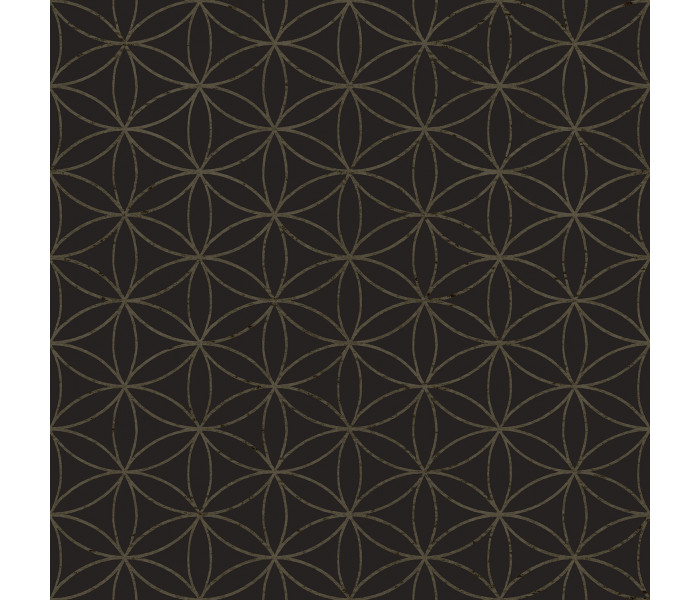 AMA Cristiana Masi Amazzonia tapétakönyv