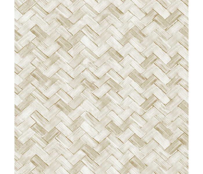 AMA Cristiana Masi Amazzonia tapétakönyv